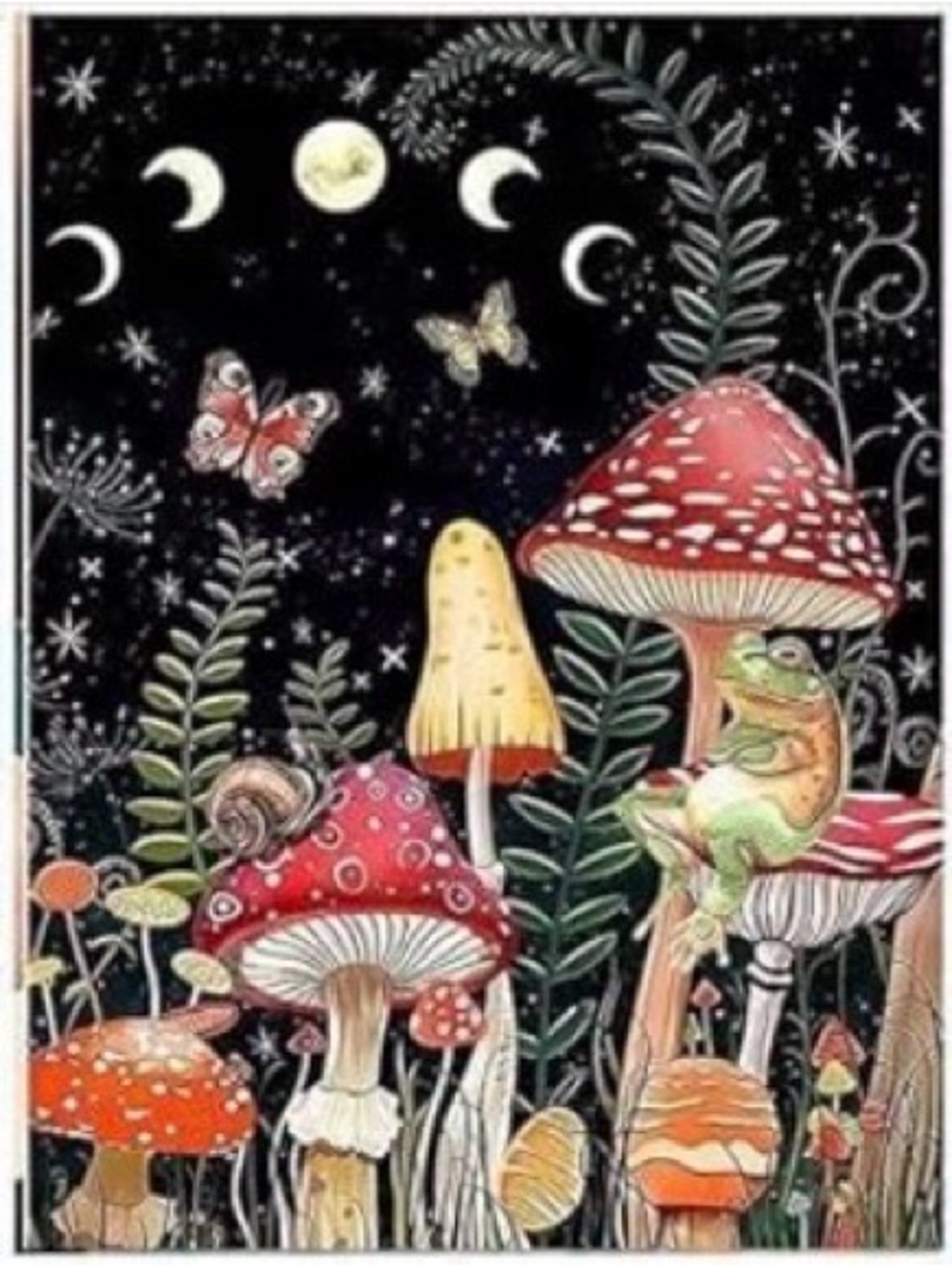 Diamond Painting Kit Black Red Mushroom Frog Night Sky 30x40cm DIY Art